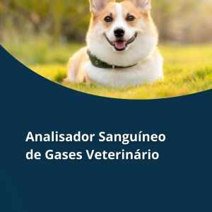 Folder Analisador de Gases Sanguíneos