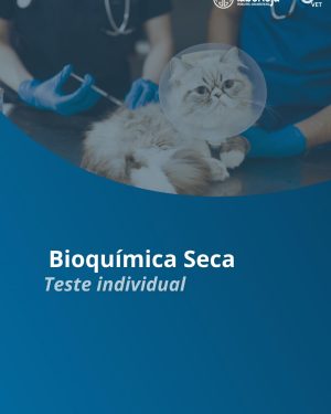 Folder Analisador de Bioquímica Seca