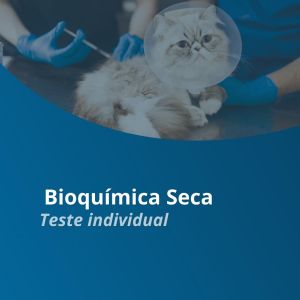 Folder Analisador de Bioquímica Seca