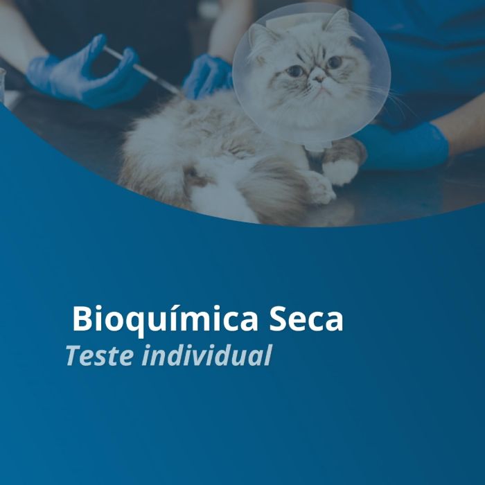 Folder Analisador de Bioquímica Seca
