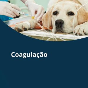 Folder Analisador Óptico de Coagulação