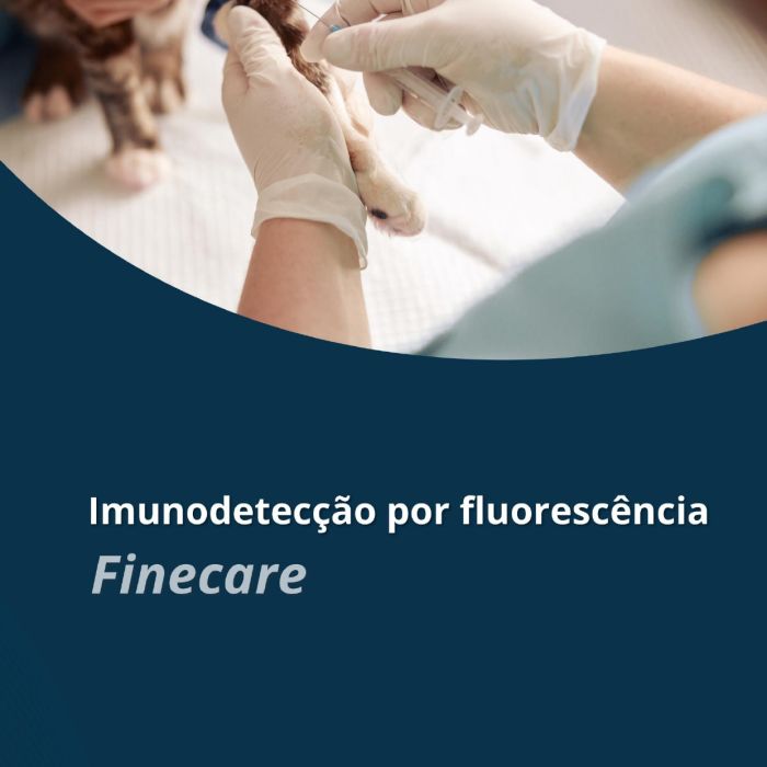 Folder Hormônios Finecare